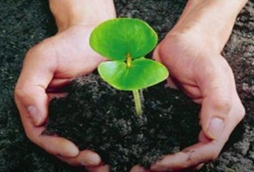 有機肥對農業的7大貢獻